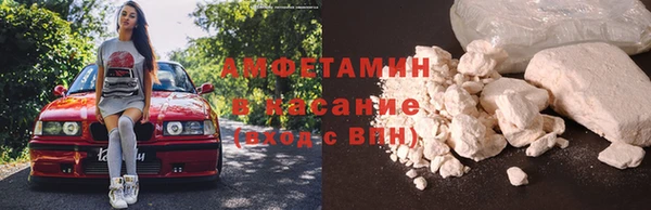 гашик Пионерский
